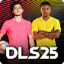 DLS 25 Logo